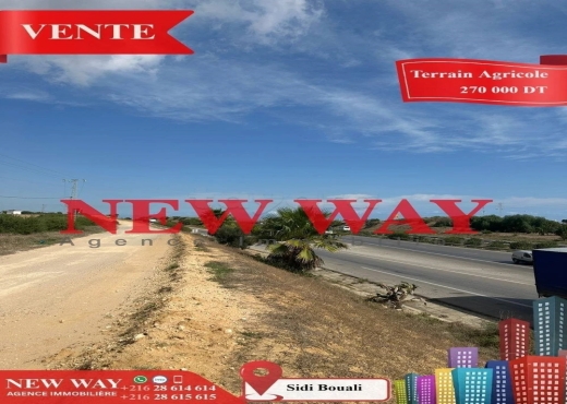 Terrain Agricole à Sidi Bouali près de l'autoroute