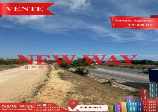 Terrain Agricole à Sidi Bouali près de l'autoroute