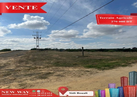 Terrain Agricole à Sidi Bouali - Bien immobilier à {"id":20,"country_id":219,"name":"SOUSSE","slug":"sousse"} - Image 3 - Agence Immobilière New Way