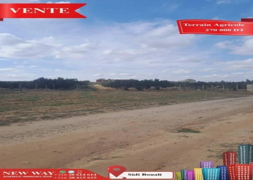 Terrain Agricole à Sidi Bouali près de l'autoroute - Bien immobilier à {"id":20,"country_id":219,"name":"SOUSSE","slug":"sousse"} - Image 2 - Agence Immobilière New Way