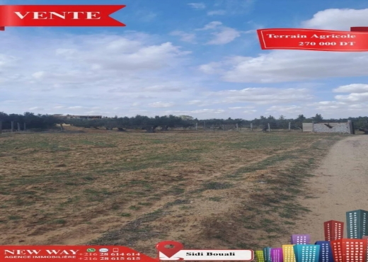 Terrain Agricole à Sidi Bouali près de l'autoroute - Bien immobilier à {"id":20,"country_id":219,"name":"SOUSSE","slug":"sousse"} - Agence Immobilière New Way