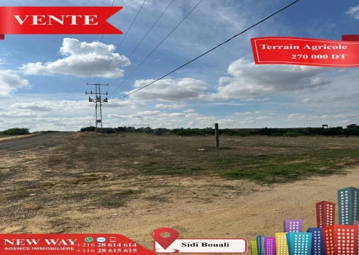 Terrain Agricole à Sidi Bouali - Bien immobilier à {"id":20,"country_id":219,"name":"SOUSSE","slug":"sousse"} - Image 3 - Agence Immobilière New Way